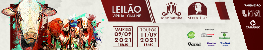 Mãe Rainha Leilão 2021 – 540x103px