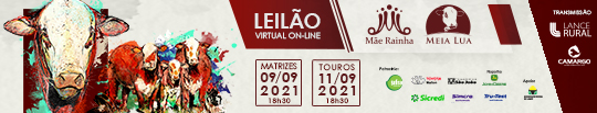 Leilão 2021 – 540x103px (1)