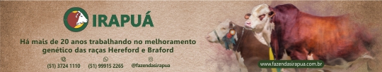 Banner_Irapuá