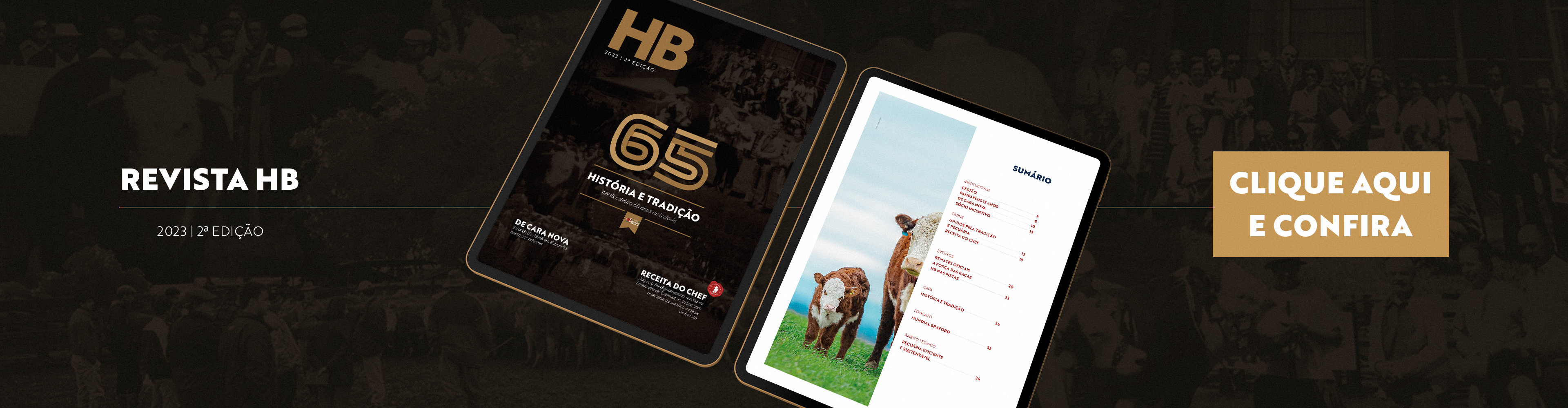 ABHB_MEGABANNER_REVISTA_HB_2_EDICAO_V3_2X