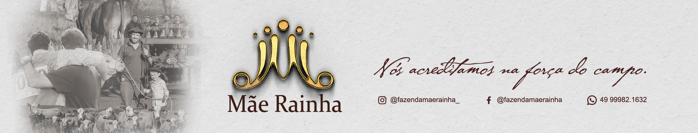 BANNER SITE ABHB-02