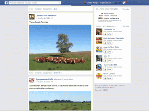 Feed de Notícias
