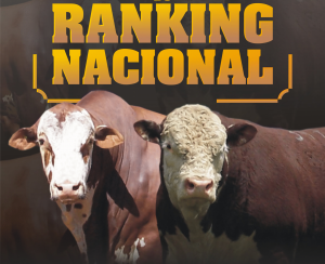 Página 10 - Ranking Nacional