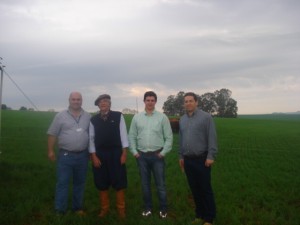 dia de campo librelloto 070