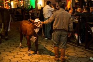 IMG_3636_