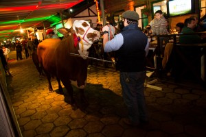 IMG_3781_