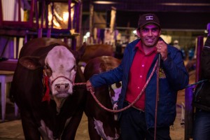 IMG_3853_