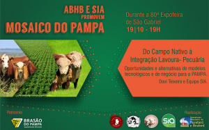 ARTE EXPOFEIRA DE SÃO GABRIEL