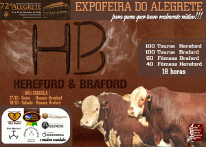 Expo Alegrete HB 2014