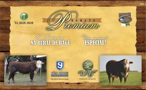 remate premiun 2014 banner digital