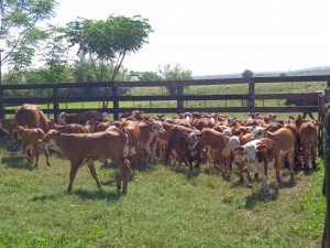 DSC01172