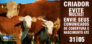 ARTE-COMUNICADOS-COBERTURA-E-NASCIMENTO-REGISTRO