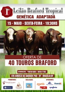 CARTAZ LEILÃO - FRENTE
