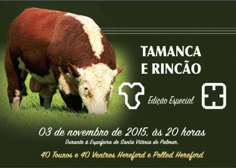 Capa Catálogo Tamanca e Rincão