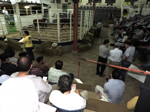 DSCN1248.