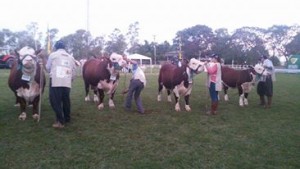 julgamento hereford