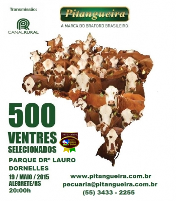 pitangueira