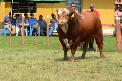 Dia de Campo na Estância Luz de São João. Crédito: Katega Vaz