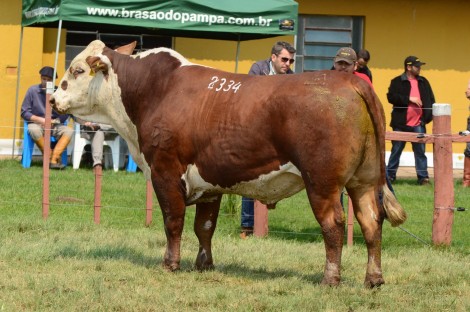 Dia de Campo na Estância Luz de São João. Crédito: Katega Vaz