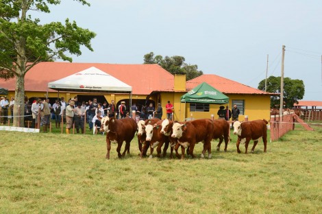 Dia de Campo na Estância Luz de São João. Crédito: Katega Vaz