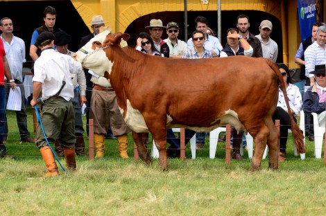 Dia de Campo na Estância Luz de São João. Crédito: Katega Vaz