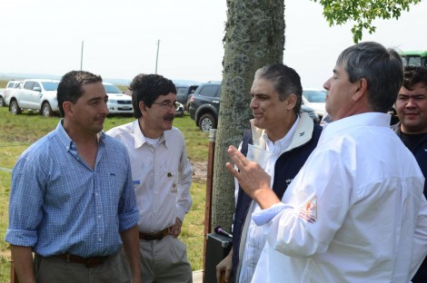 Dia de Campo na Estância Luz de São João. Crédito: Katega Vaz