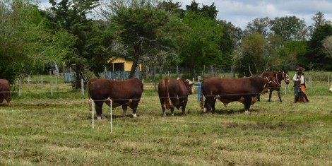 estancia_BelaVista1