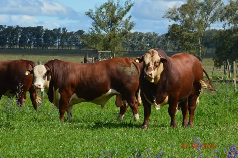 estancia_BelaVista2