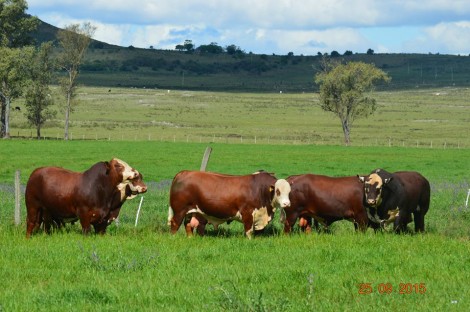 estancia_BelaVista3