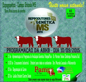 programação MS
