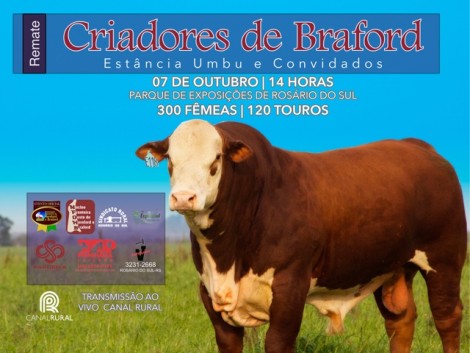 remate-criadores-de-braford-0eebd933