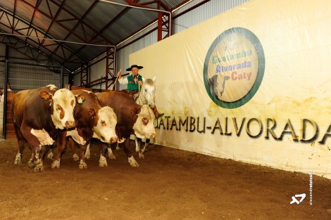 remateguatambu8_creditoalexandreteixeira