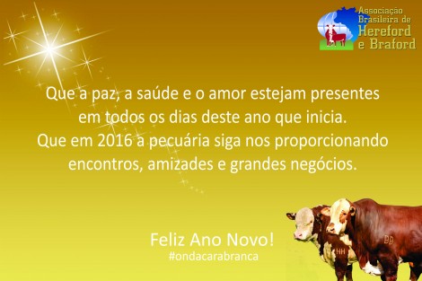 ano novo 2015 jpg