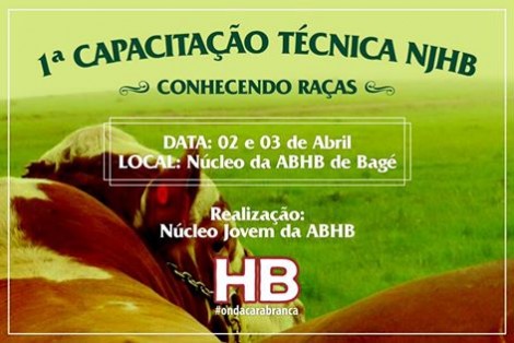 capacitação njhb