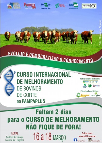 Divulgação - 8º Curso Internacional