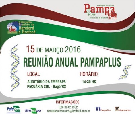 ReuniaoPampaPlus