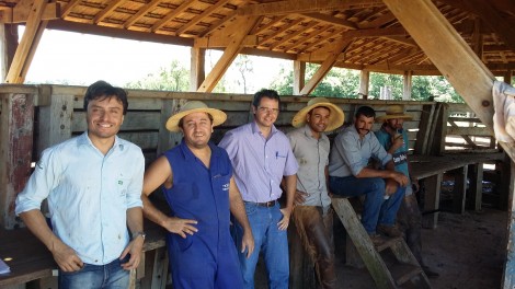parceiros embrapa gado corte