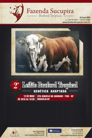 Remate Braford Tropical