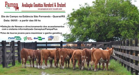 banner dia de campo maio16