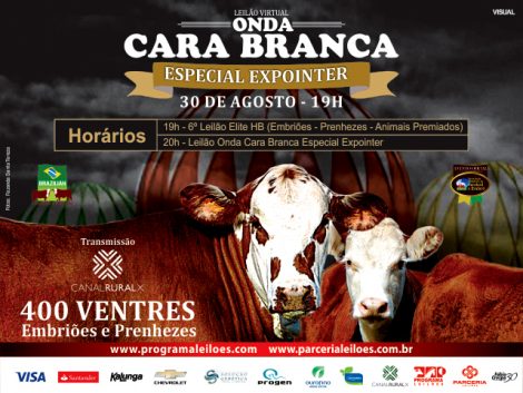 ONDA CARA BRANCA expointer