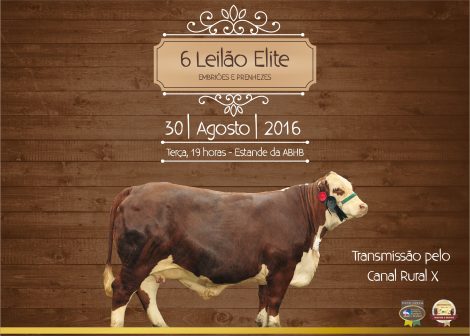 leilão elite_alta