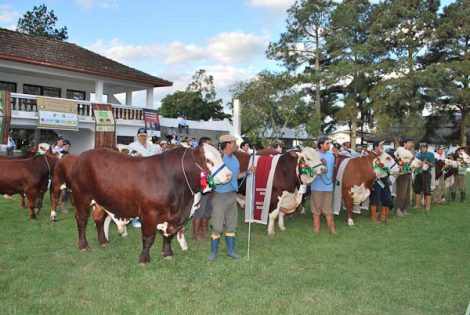 expofeira-de-pelotas