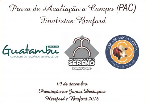 finalistas_braford_pac