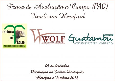 finalistas_hereford_pac