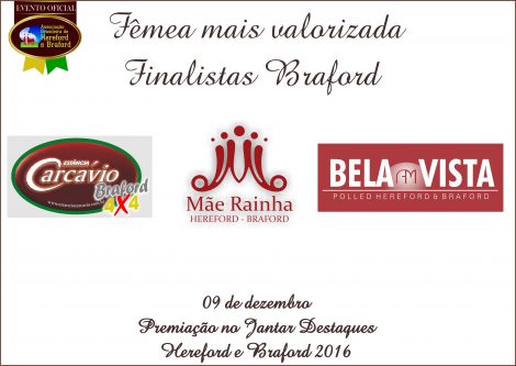 femea_mais_valorizada_braford