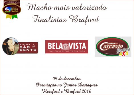 macho_mais_valorizado_braford
