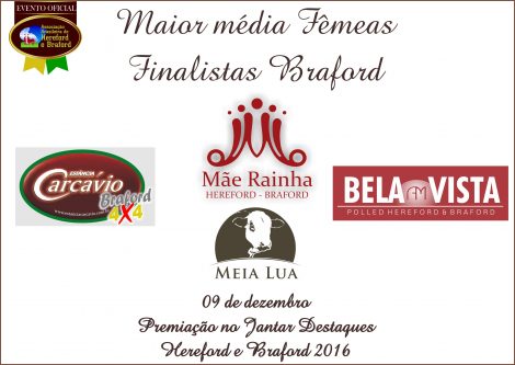 medias_femeas_braford