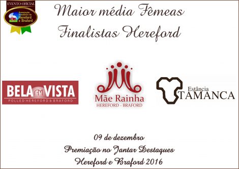 medias_femeas_hereford