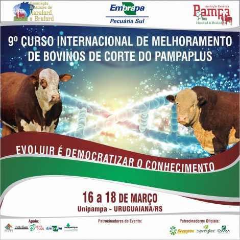 Divulgação Curso