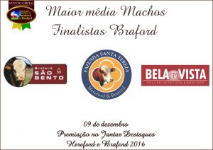 media_machos_braford